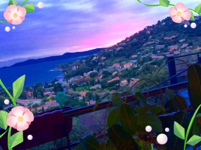 Apartment Corniche Des Iles D Or 55 Studio Le Lavandou